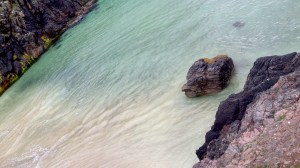 Cliobh composition + gutweed