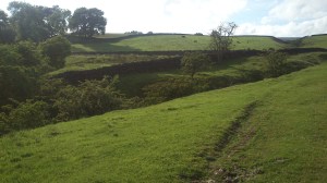 My kind of Landscape