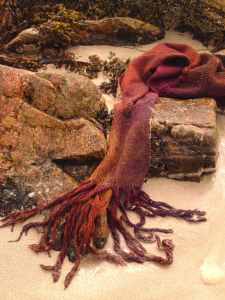 Red tweed bladderwrack portrait 1