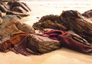 Red tweed bladderwrack seascape lighter crop