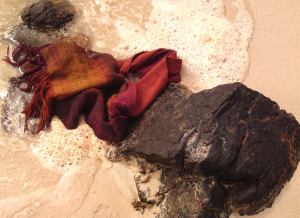 Red tweed bladderwrack skyview in sea