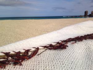 Icelandic and Hebridean blanket, Dail Mor