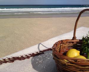 Icelandic and Hebridean blanket with a basket of lemons and parsley. Of course.