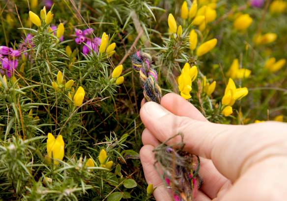 Matching yarn to land by Alice Carfrae