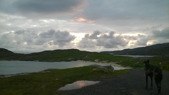 WP_20150831_20_25_55_Pro