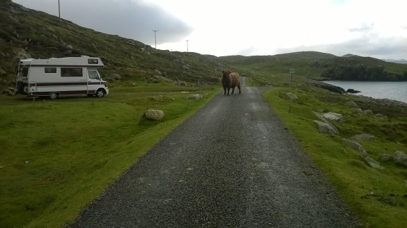 WP_20150902_10_19_28_Pro