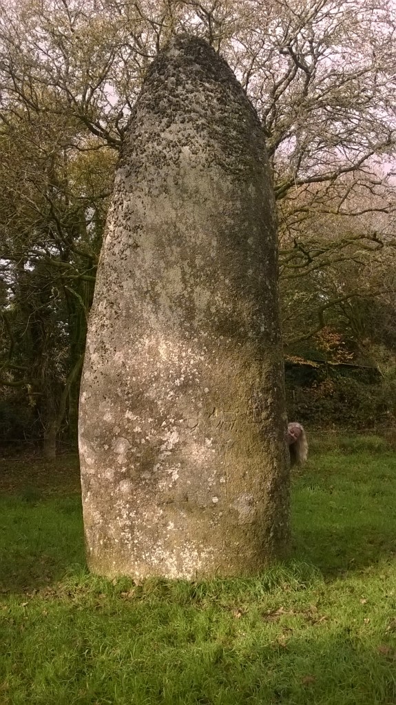 WP_20151112_13_01_38_Pro