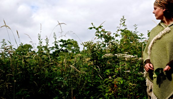 Summer hedgerow green poncho banner