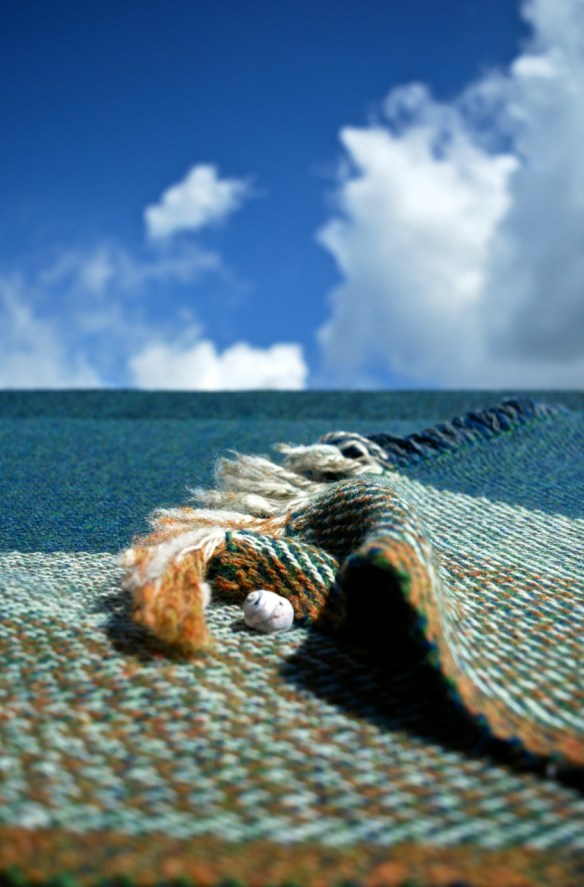 Small sea shawl shell wave portrait clouds