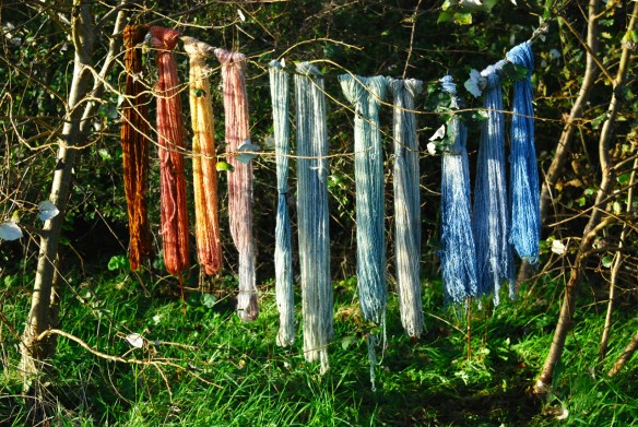 First dye results, woohoo!