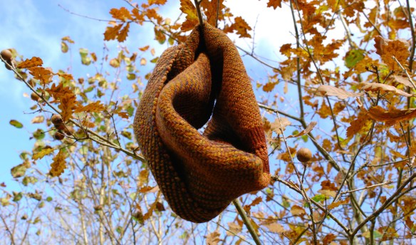 Rust autumn oak snug 1