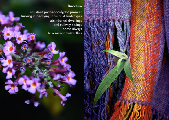 Screen Shot 2017-10-04 at 16.48.15