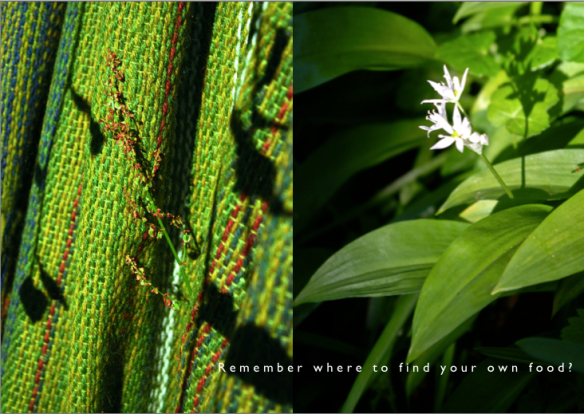 Screen Shot 2017-10-04 at 17.26.04