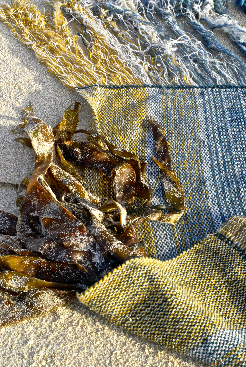 Sea remnant detail blur