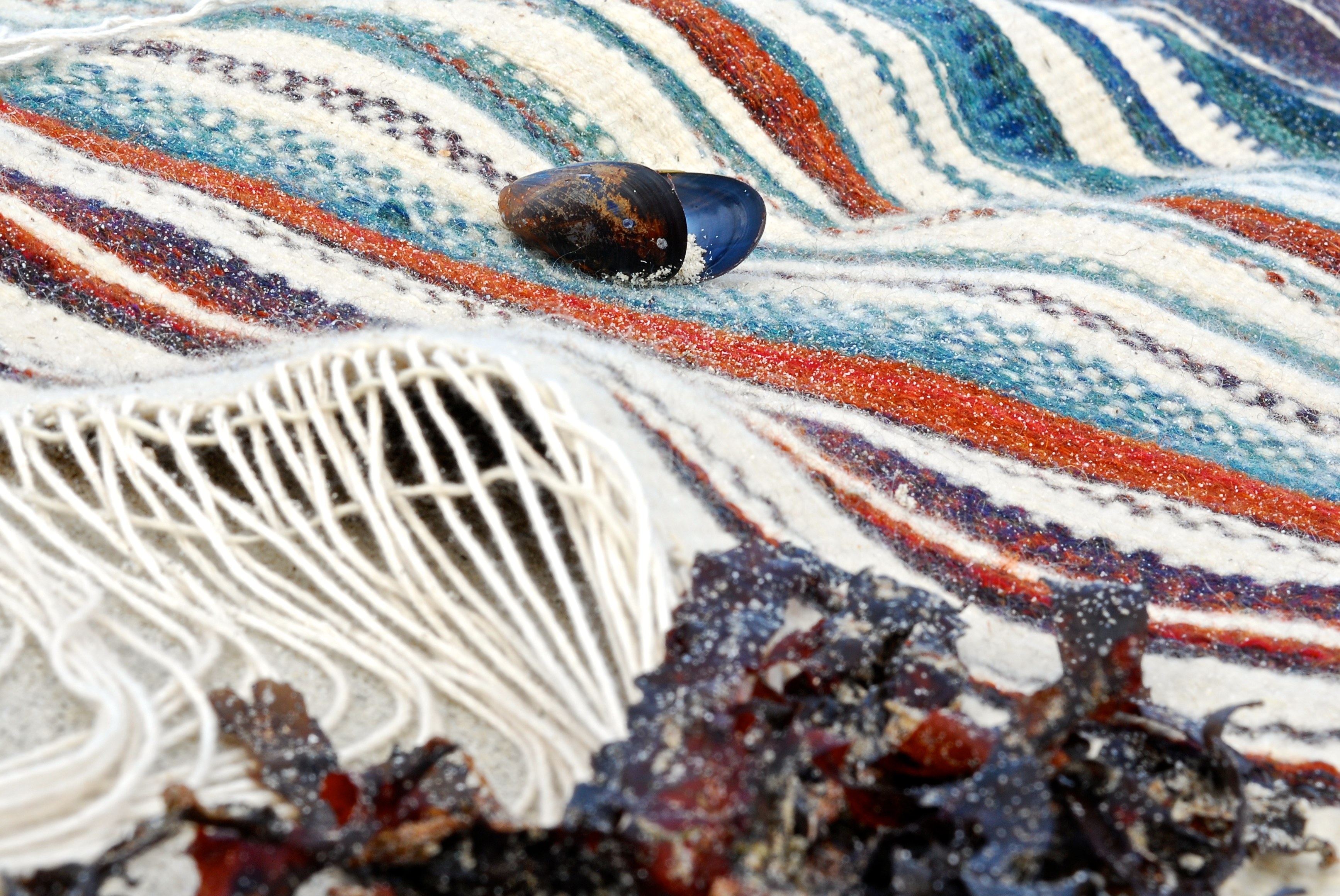 Bladderwrack rugwreck wallhanging for sale at www.etsy.com/uk/listing/629330975